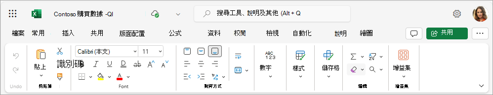 螢幕擷取畫面顯示 Excel 中的完整索引標籤。