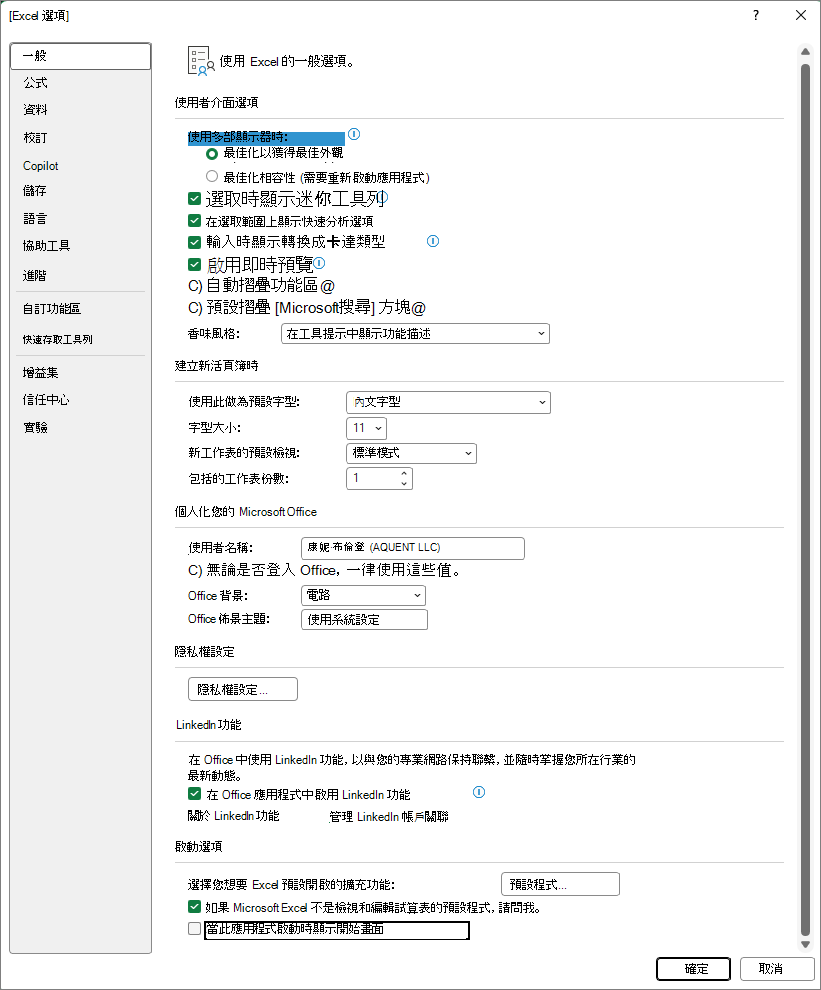 螢幕擷取畫面，顯示 [Excel 選項] 對話方塊中的啟動選項。