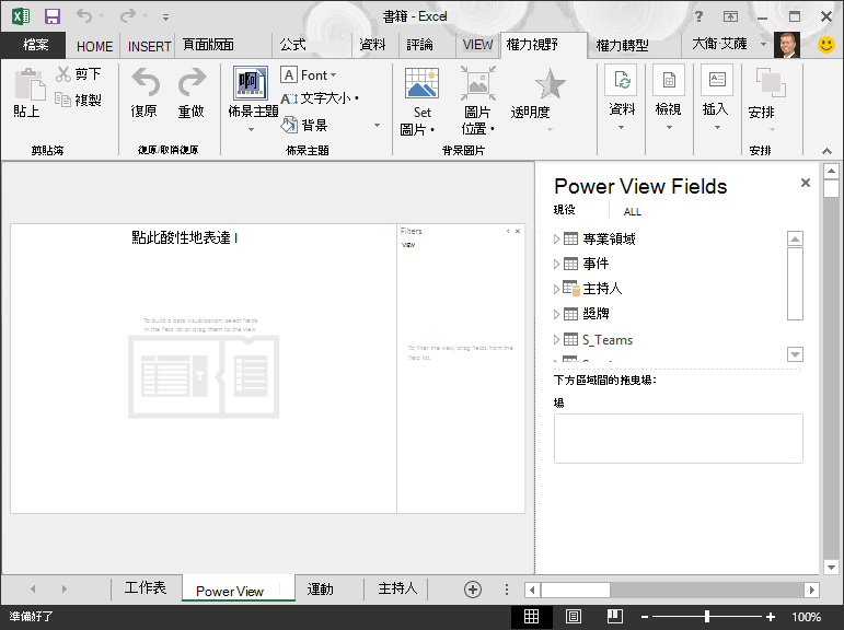 Excel 中的空白 Power View 報表