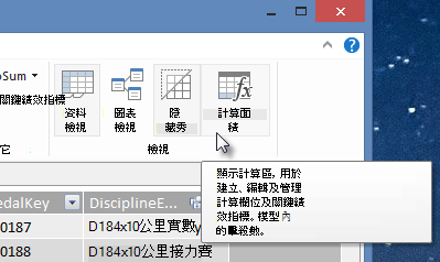 PowerPivot 中的 [計算區域]