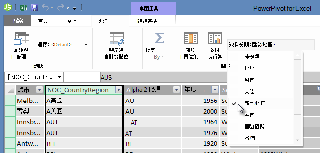 PowerPivot 中的資料類別