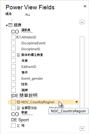 [Power View 欄位] 中的地理位置圖示