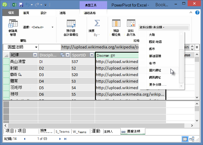 在 PowerPivot 中設定資料類別