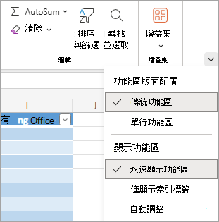 顯示 Excel 中功能區選項的螢幕擷取畫面。