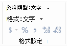功能區中的資料類型