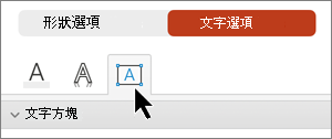 已選取 [文字選項] 索引標籤文字方塊。