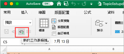 顯示 Excel 試算表