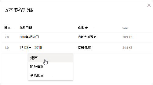 [版本歷程記錄] 窗格
