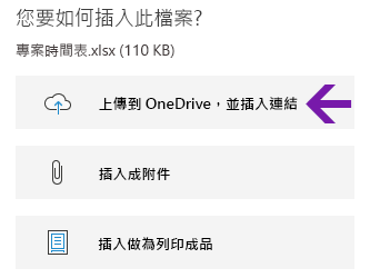 Windows 10 版 OneNote 中的檔案插入選項