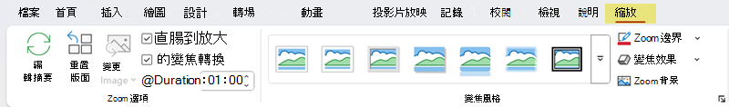 含有 [縮放選項] 和 [縮放樣式] 群組的 [縮放] 索引標籤