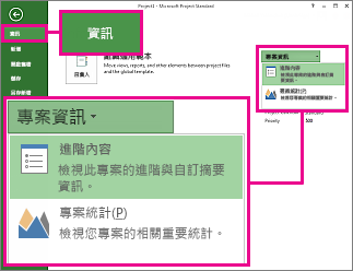 [專案資訊] 功能表，其中 [進階摘要資訊] 已醒目提示