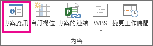 [專案] 索引標籤上的 [專案資訊]