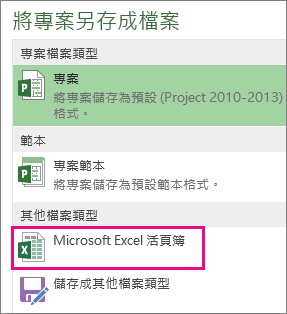 將專案檔案另存為 Microsoft Excel 活頁簿