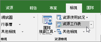 資源工作表檢視