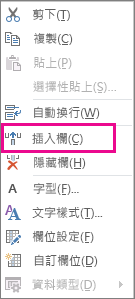 右鍵功能表上的 [插入欄] 命令