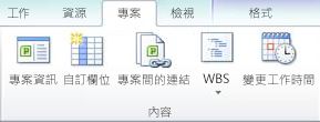 專案索引標籤上的屬性群組