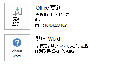 Word 中更新選項的螢幕擷取畫面。