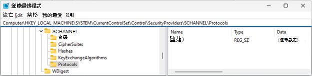 登錄檔編輯器視窗中顯示 Protocols 資料夾的截圖