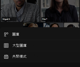 視訊版面配置選項