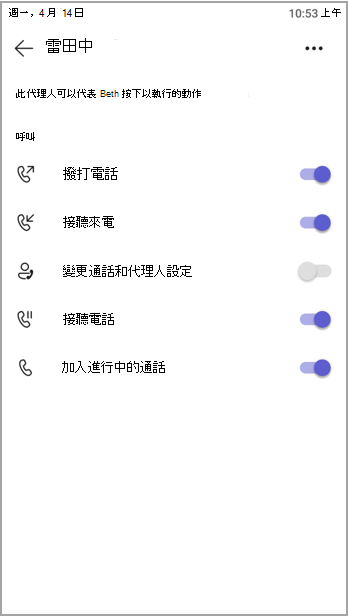 代理人的檢視權限。