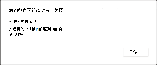 對話方塊訊息會說明為何訊息因包含成人內容而遭刪除。