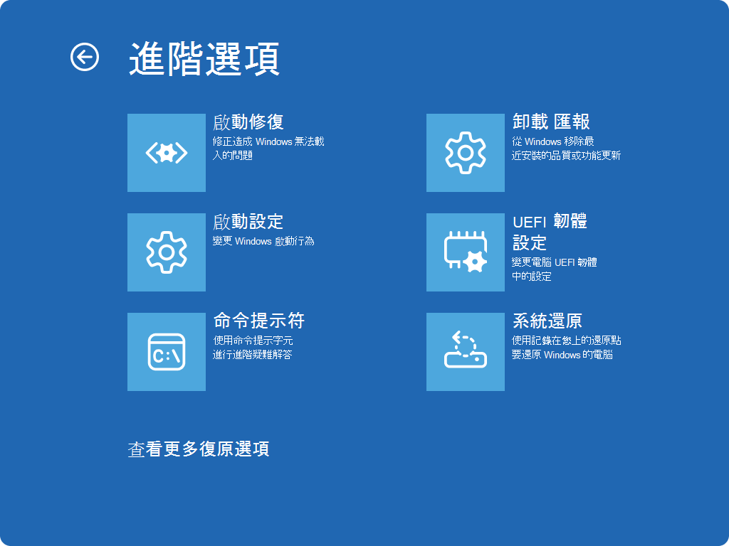 Windows RE - 進階選項畫面的截圖。