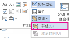 開發人員模式群組控制項