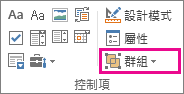 開發人員模式群組按鈕