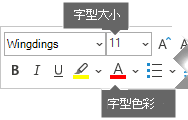 浮動的 [格式] 工具列包括 [字型大小] 和 [字型色彩] 選項。