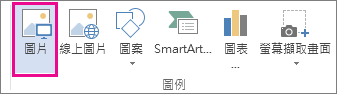 [插入] 索引標籤上的 [圖片] 命令