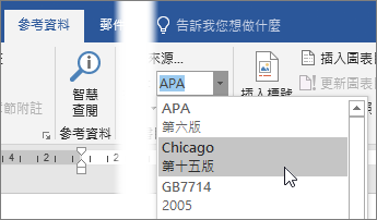 在 [參照] 索引標籤中，從格式清單選擇引文格式