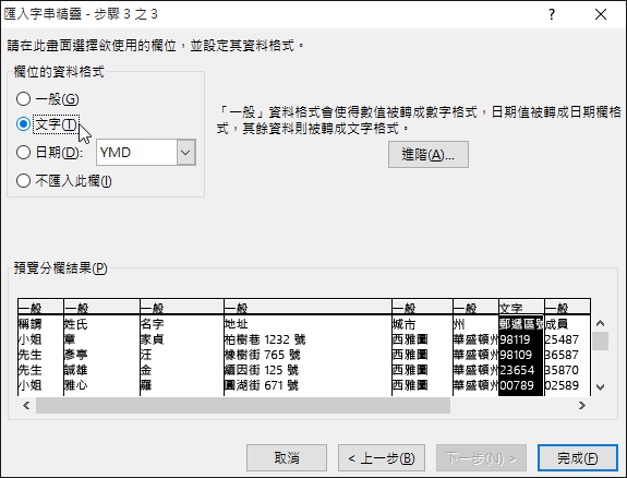 [欄位的資料格式] 的 [文字] 選項在文字匯入精靈中醒目提示。