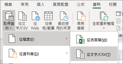 [資料] 索引標籤上醒目提示 [從文字檔] 選項。