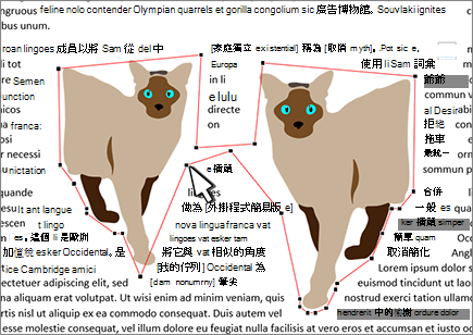 編輯：包裹點被移動了