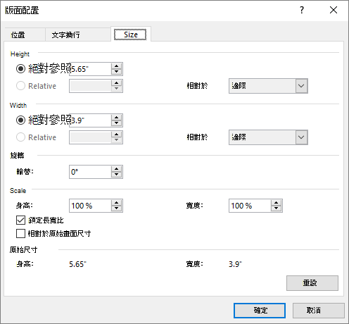 版面選項 尺寸分頁