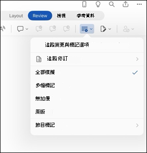 iPad 版 Word 標記選項