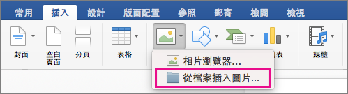 [插入] 索引標籤上醒目提示 [從檔案插入圖片]。