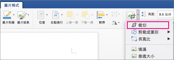 [圖片格式] 索引標籤上醒目提示 [裁剪]。