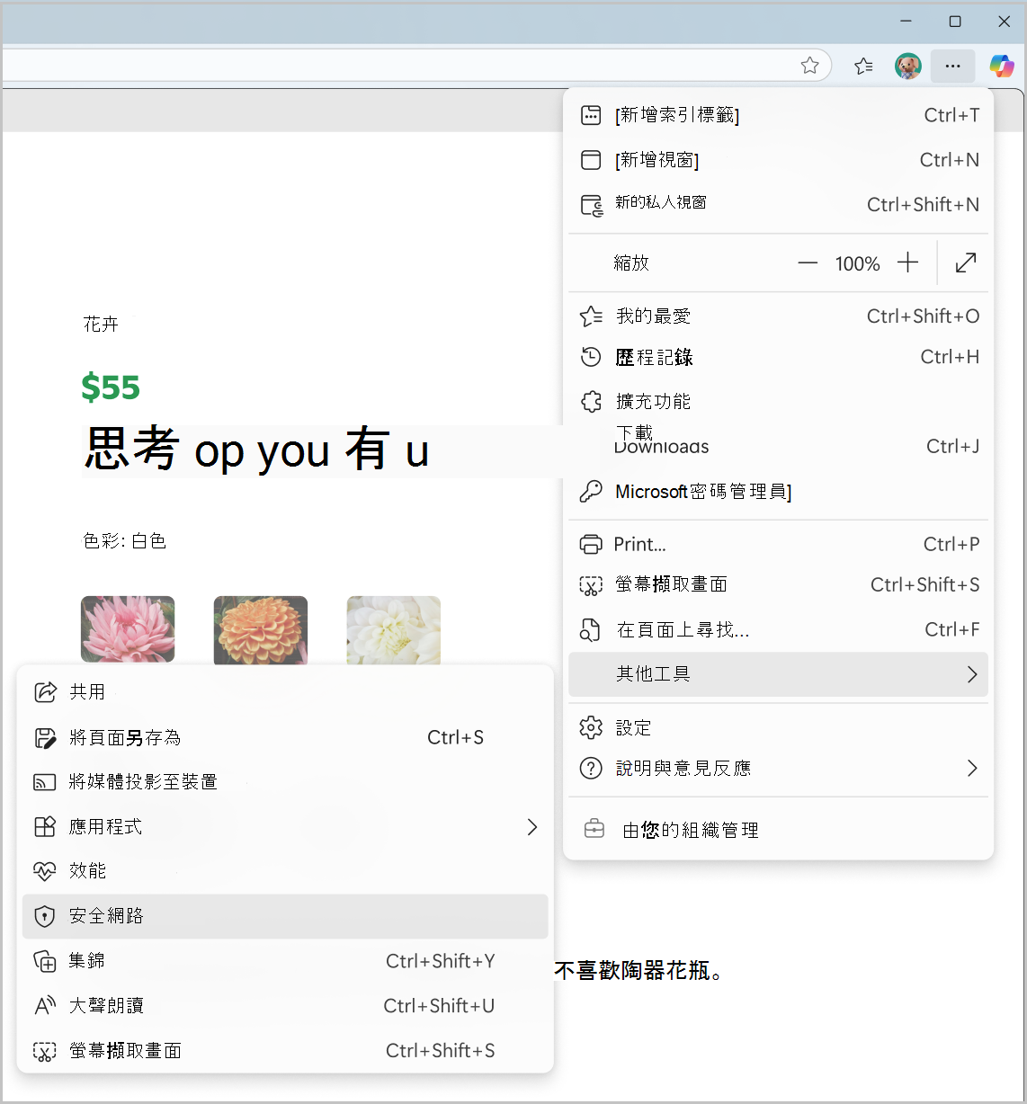 安全網路的截圖來自設定及更多選單