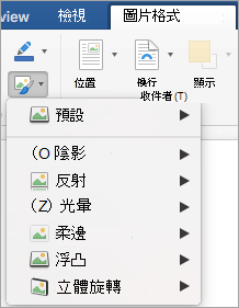 顯示畫面特效選單中的選項