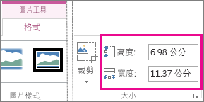 [圖片工具] [格式] 索引標籤上的 [高度] 和 [寬度] 方塊