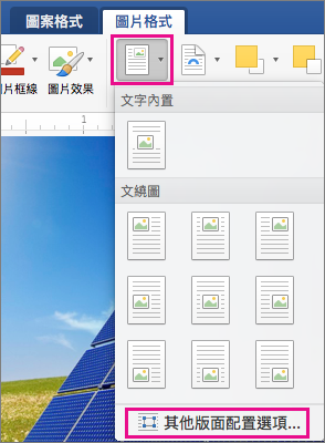 [圖片格式] 索引標籤中醒目提示 [位置] 與 [其他版面配置選項]。