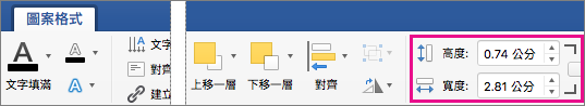 [圖案格式] 索引標籤上醒目提示 [高度] 及 [寬度] 方塊。