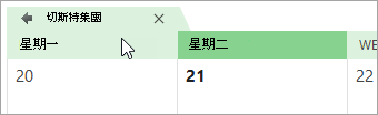 一張群組行事曆在行事曆檢視中的截圖