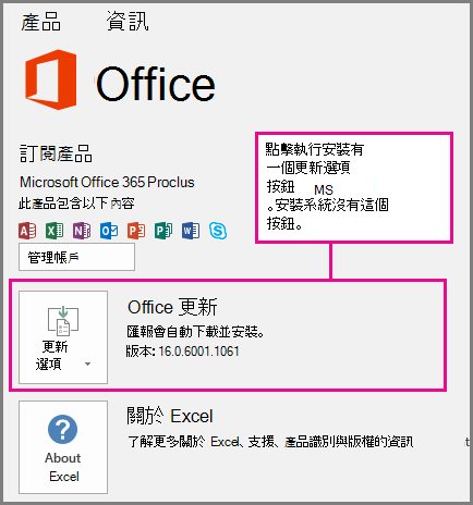 點擊執行安裝在帳戶頁面有一個「更新選項」按鈕。基於 MSI 的安裝沒有這個按鈕。