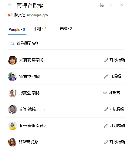 管理存取權面板顯示共享檔案的權限。