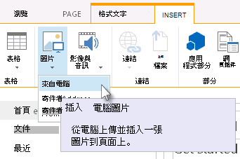 從電腦插入圖片選項