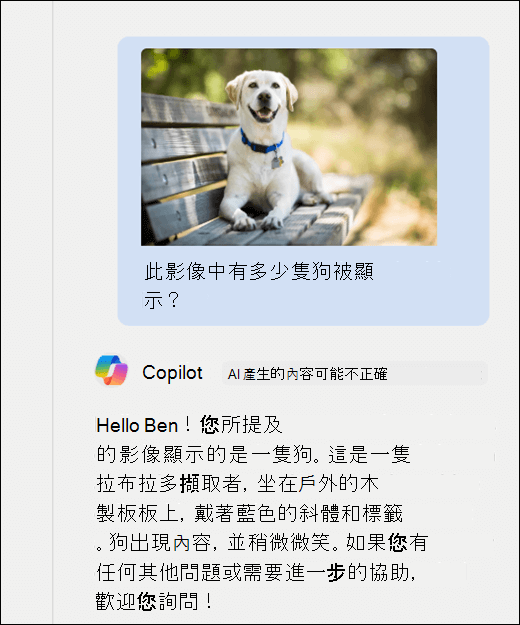 Copilot 的截圖。一張狗的圖片被貼上，並附上提示：這張圖片中顯示了多少隻狗？Copilot 已準確回應並提供圖片的額外描述。
