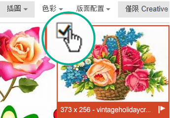 選取您要插入之圖片的縮圖影像。左上角會顯示核取記號。