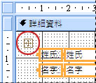 [設計檢視] 中，表單上的版面配置選取器